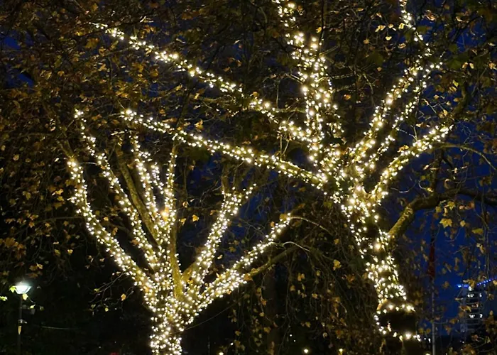 公寓 Beautiful 2 Bedroom In *